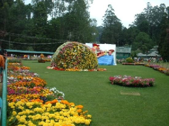 Government Botanical Garden景点图片