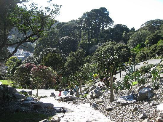 惠灵顿植物园景点图片