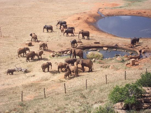 KenyaExpeditionLTD-蒙巴萨必去景点