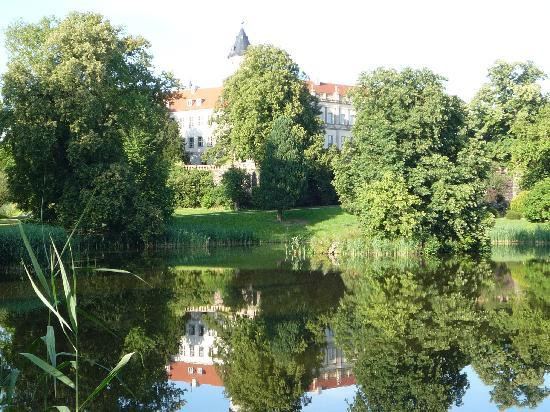 Schlosspark Wiesenburg景点图片