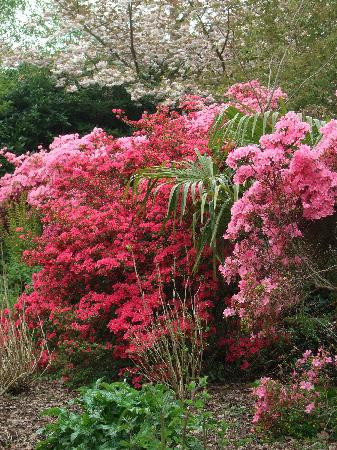 Scotney Castle Garden景点图片