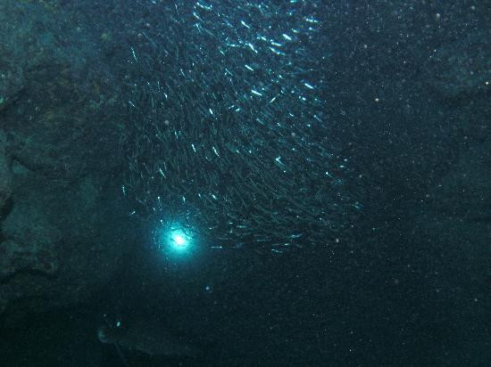 Devil's Grotto-大开曼岛必去景点