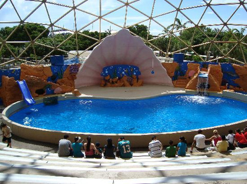 迈阿密水族馆-迈阿密必去景点