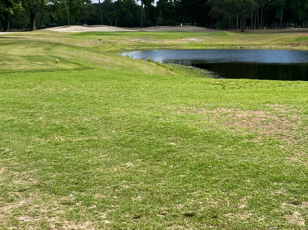 Arcadian Shores Golf Club-美特尔海滩必去景点