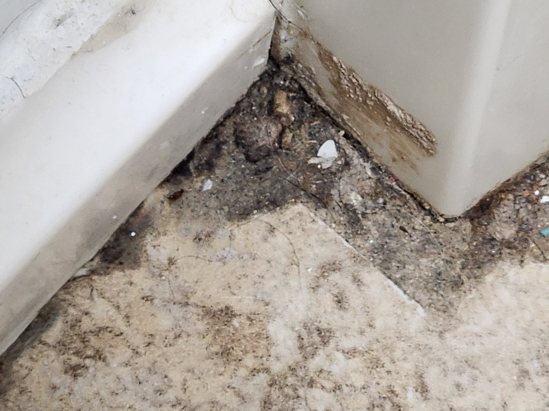 萨拉兰德温德姆呗盟酒店主图