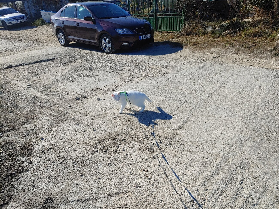 Star Rent A Car-瓦尔纳必去景点