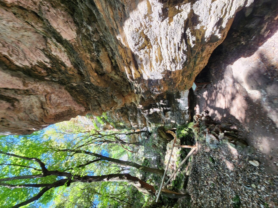 Parco Archeologico Naturalistico e Archeodromo di Belverde景点图片