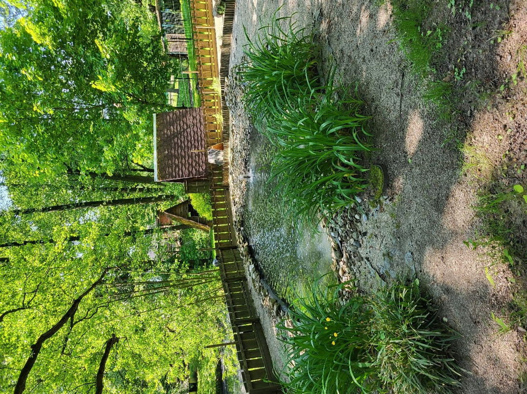 Tierpark Freiberg-弗赖贝格必去景点