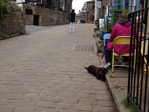 The Haworth-赫尔河畔金斯顿必去景点