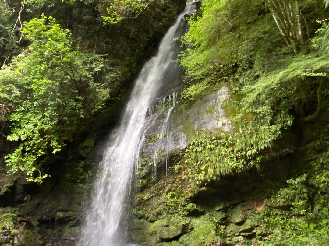 Biwa Waterfall景点图片