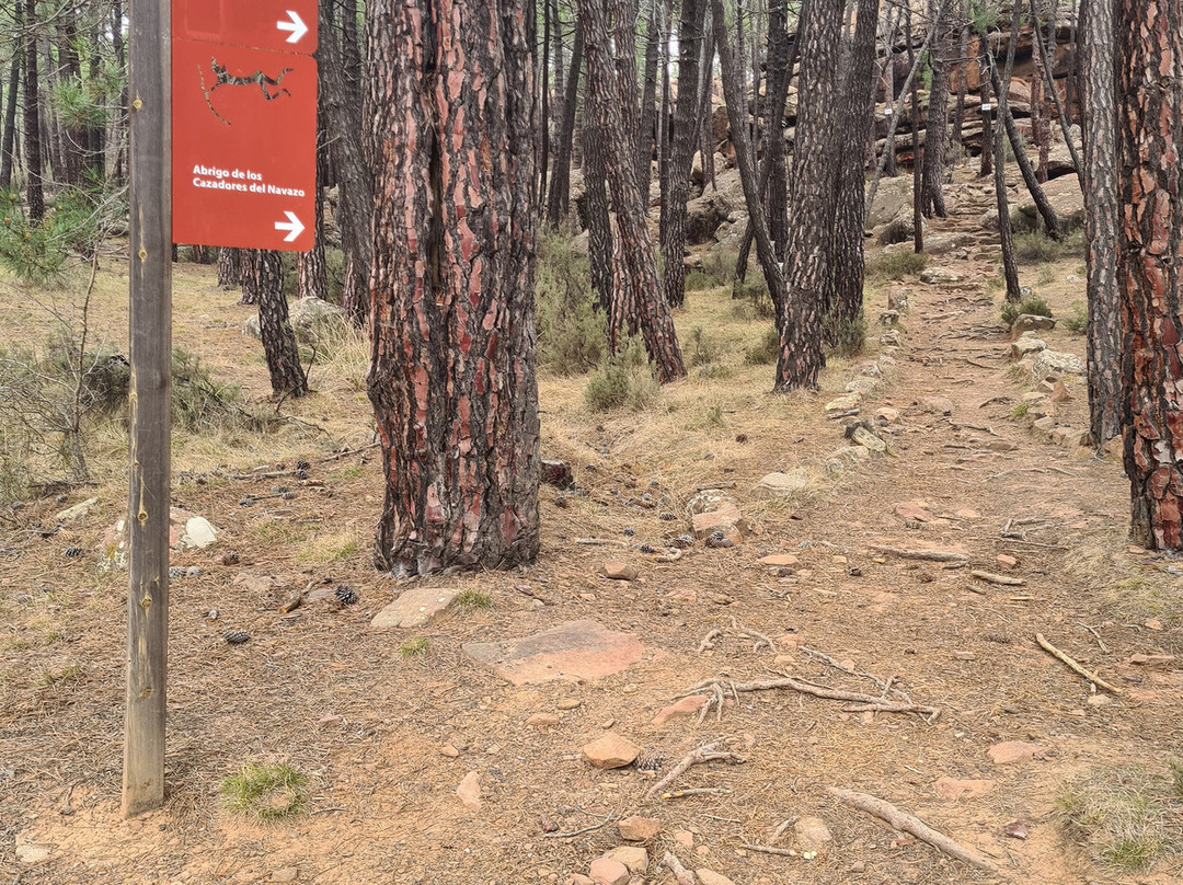 Pinares del Rodeno景点图片