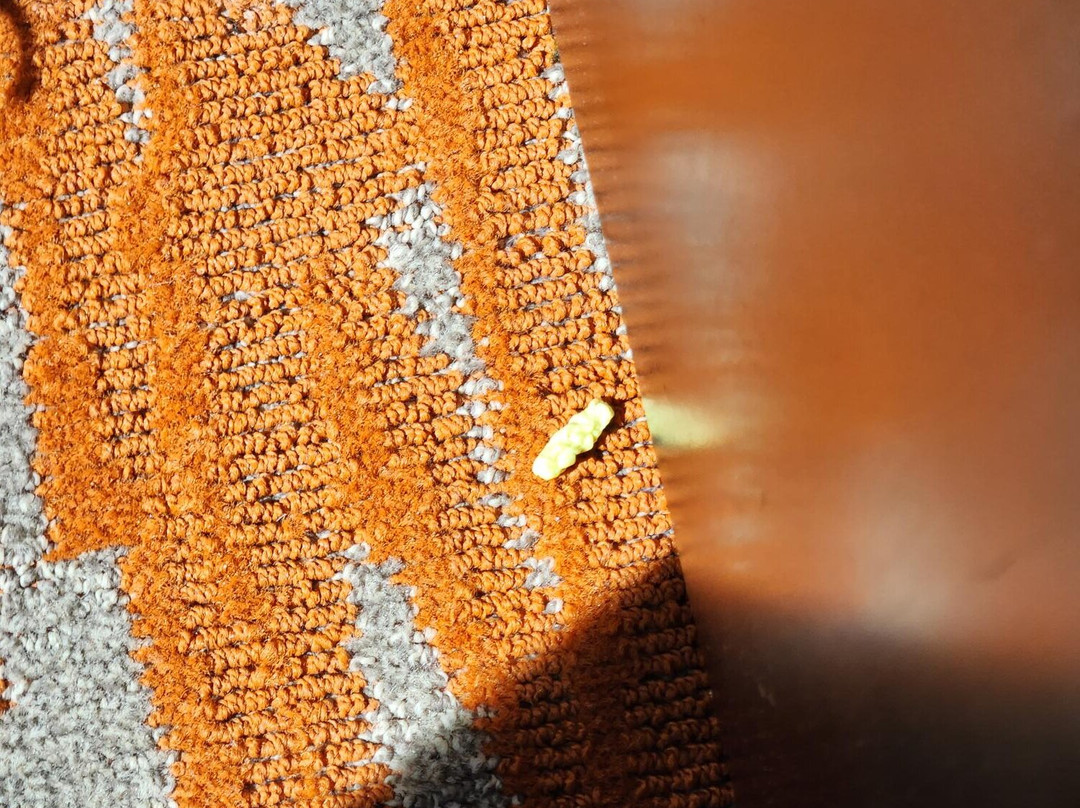 Golden Nugget Lake Tahoe主图