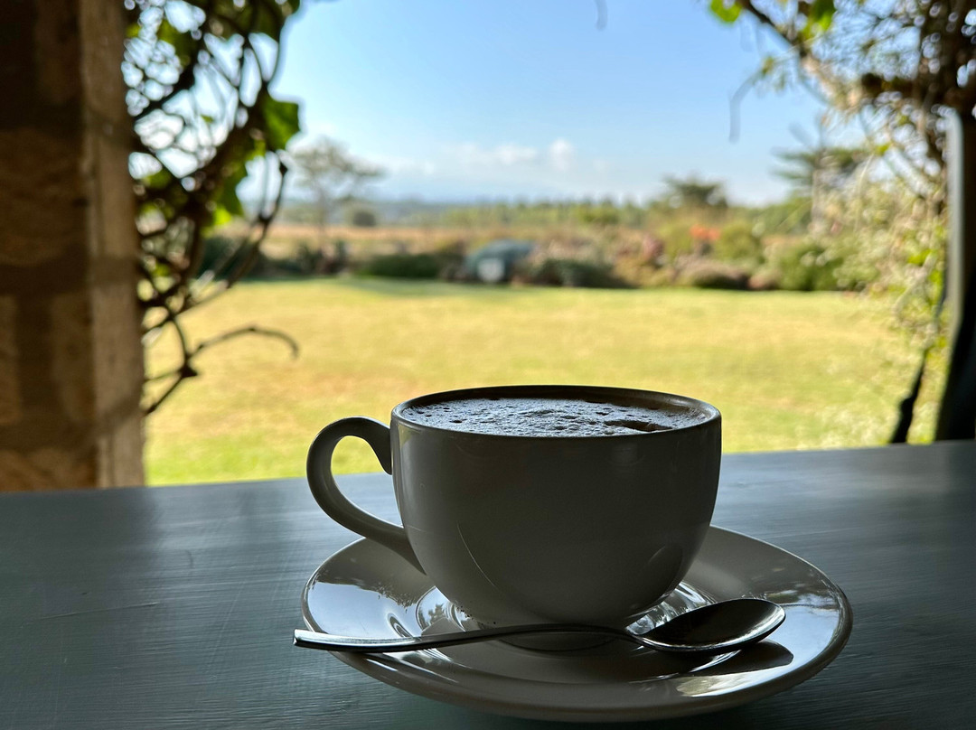 Soames Hotel & Jack's Bar主图