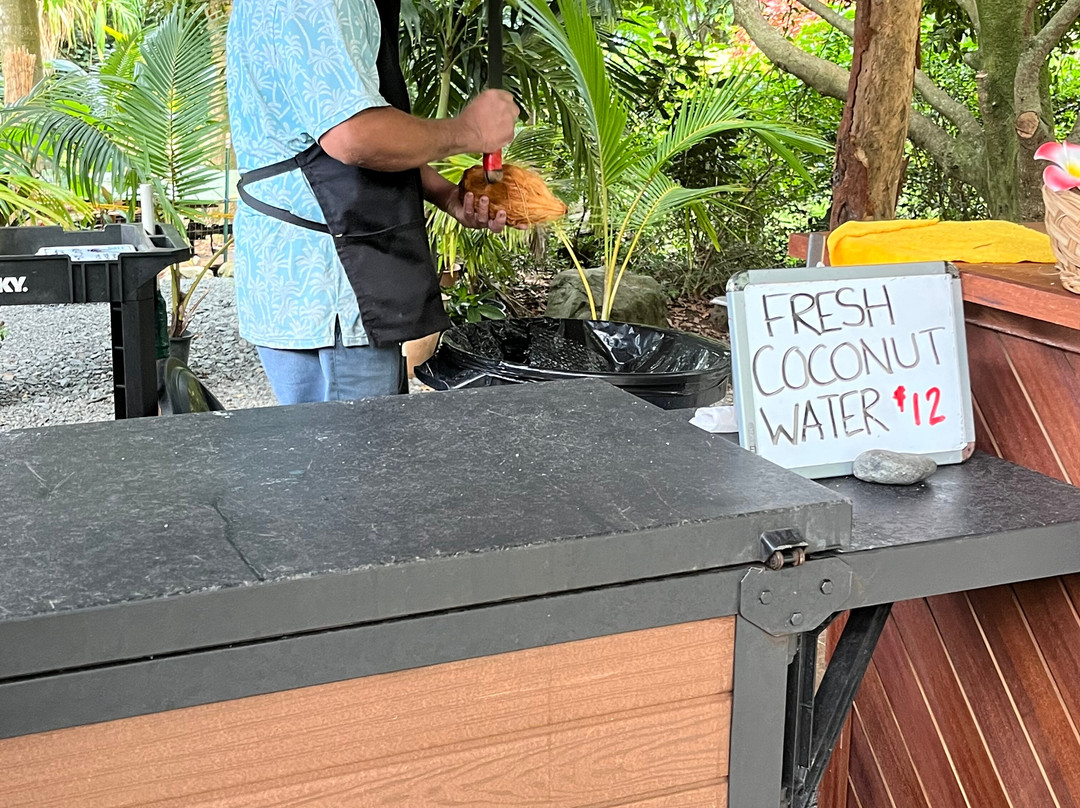 Aloha Private Tours-火奴鲁鲁必去景点