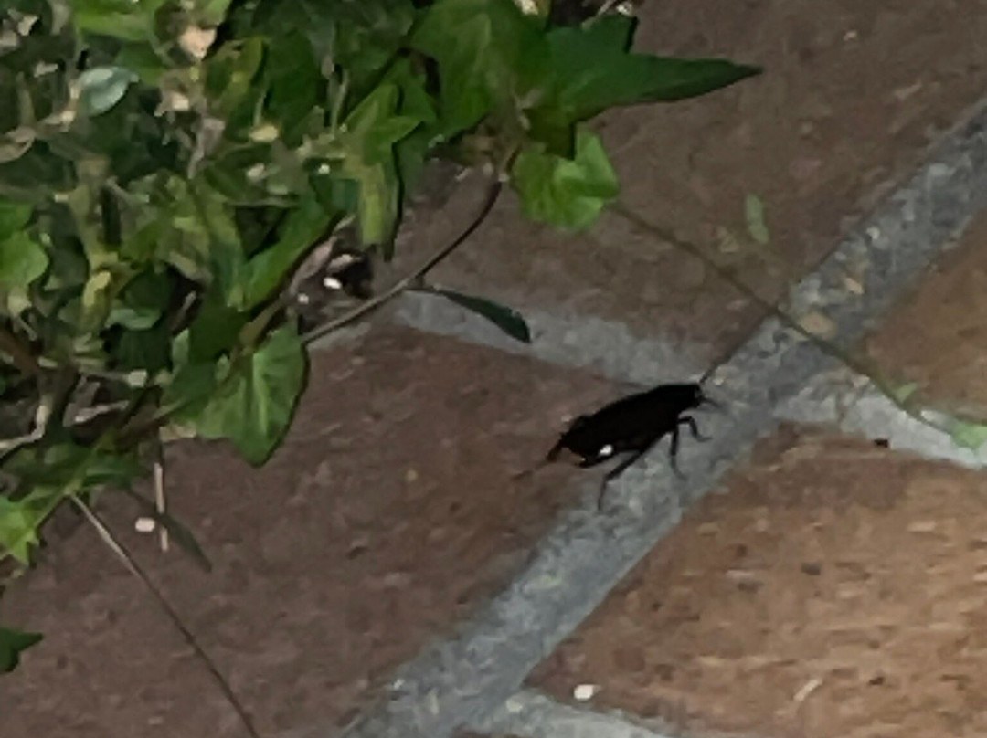 Waterway Lodge主图