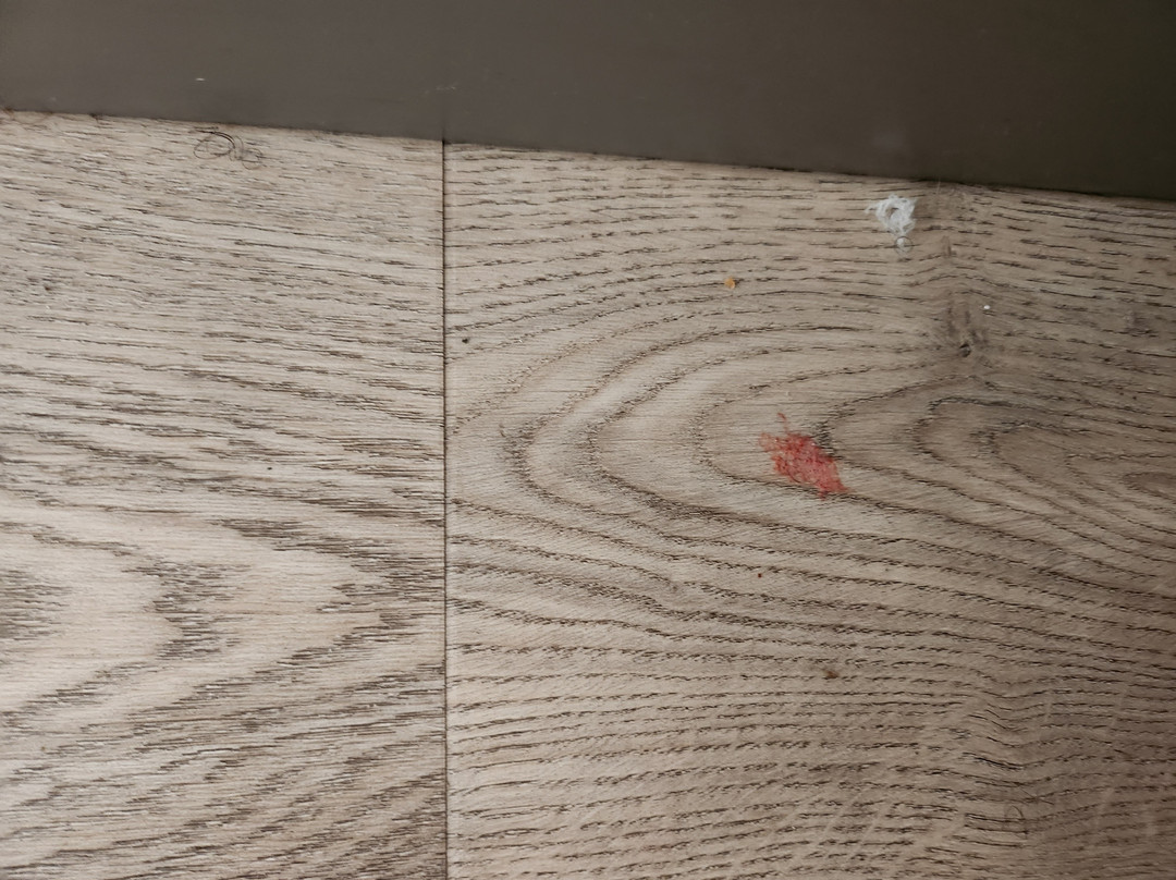 Best Western Plus South Hill Inn主图