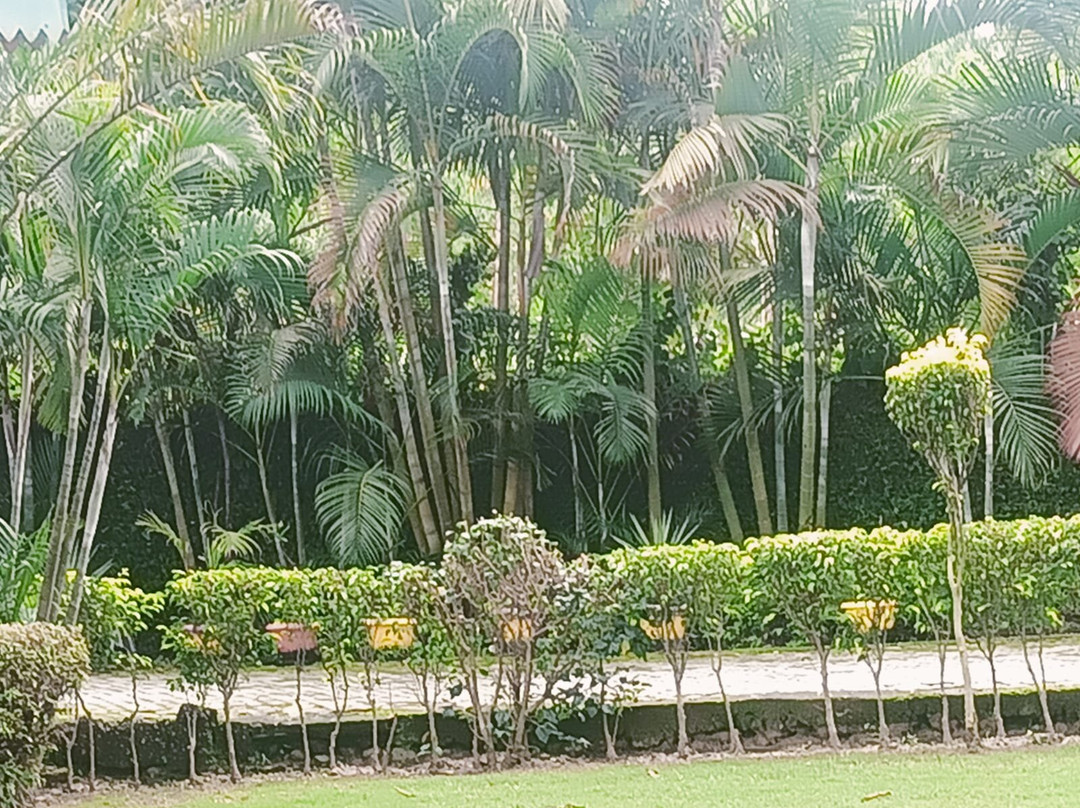 Sailani Resort主图