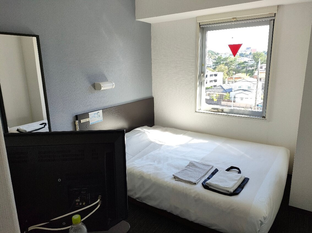Super Hotel Okazaki主图