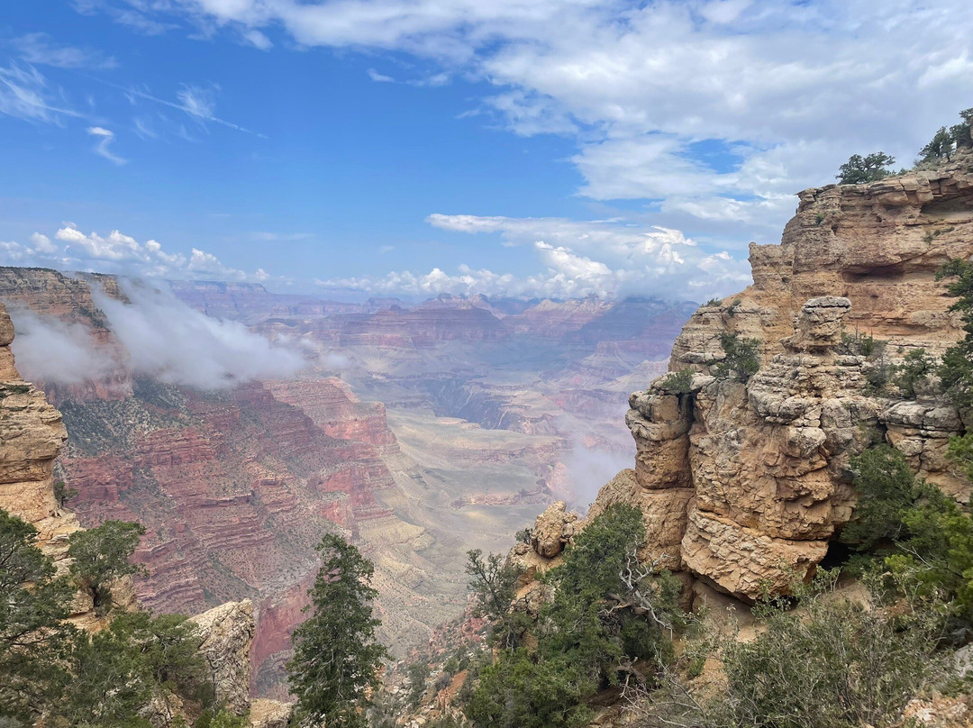 邓普林帕奇住宿加早餐酒店主图
