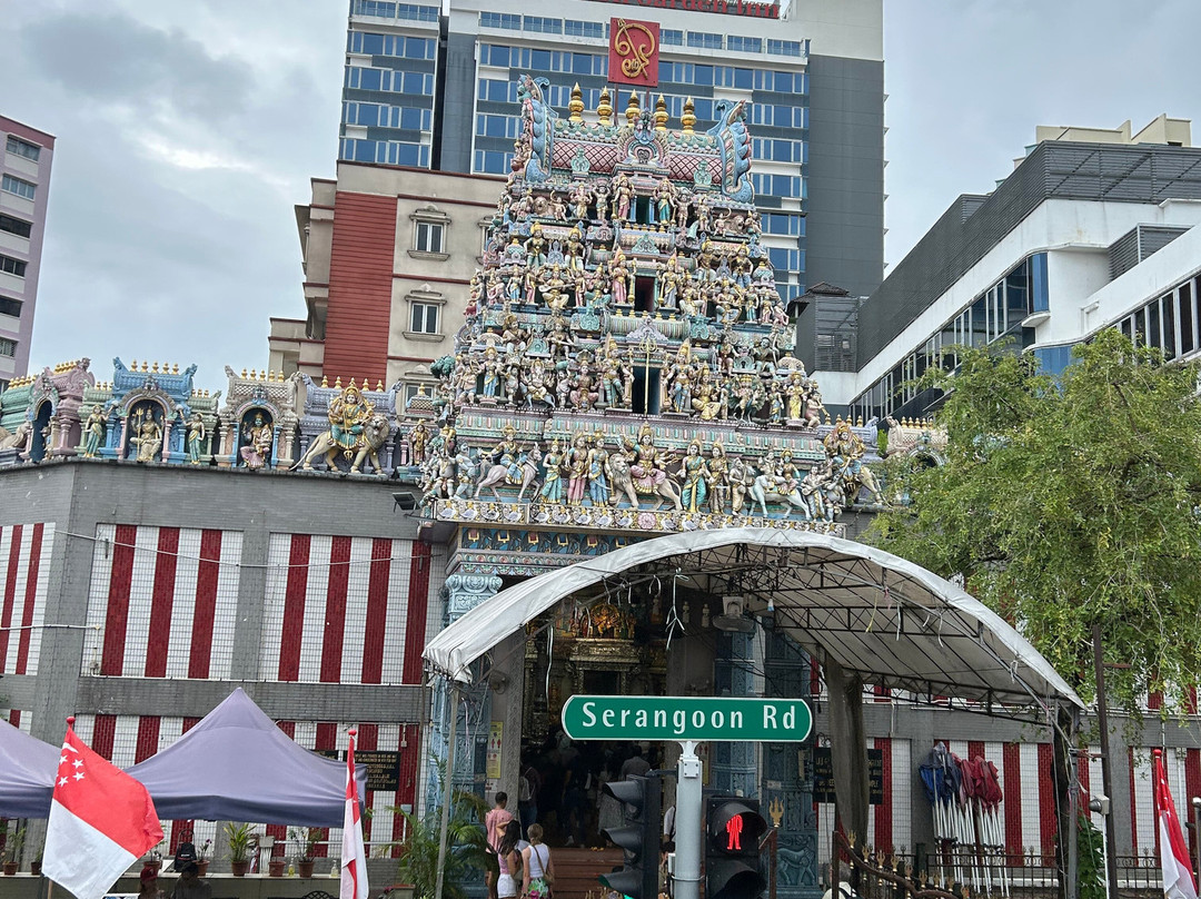 Big Bus Tours景点图片