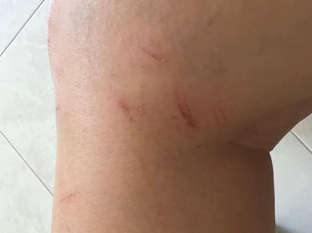 HydroDash-圣淘沙岛必去景点