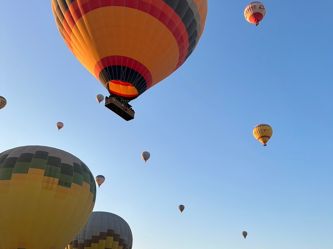 Capacity Travel-乌奇萨必去景点