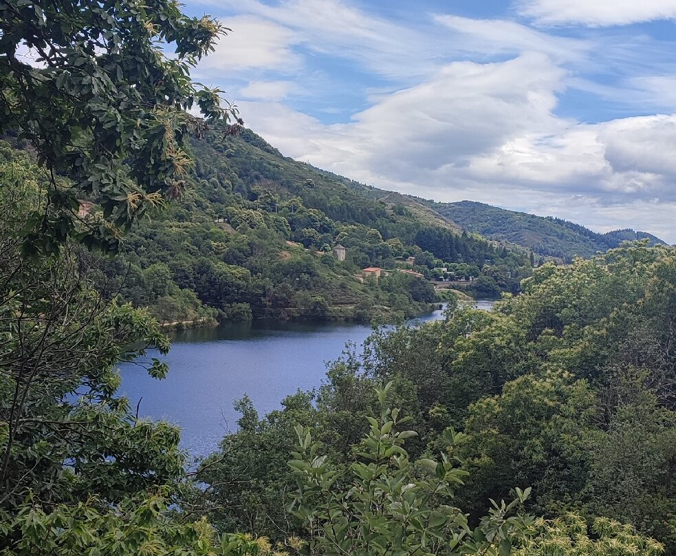 Lac de Villefort-Villefort必去景点