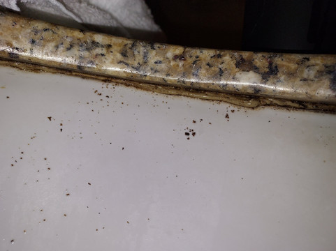 劳雷尔速8酒店主图