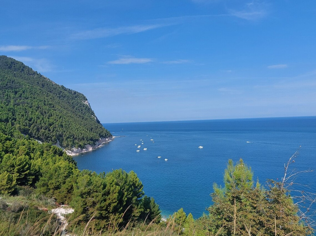 Meuble Le Cave主图