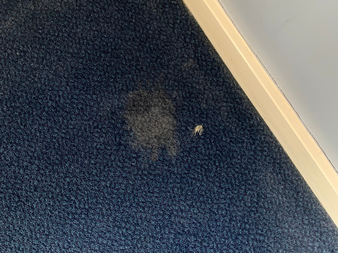 Travelodge Merthyr Tydfil主图