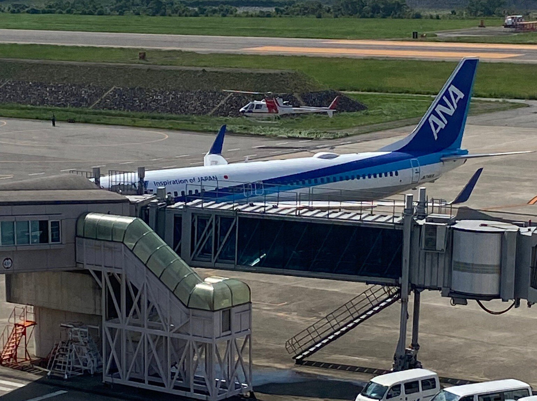 Toyama Airport Lookout Deck景点图片