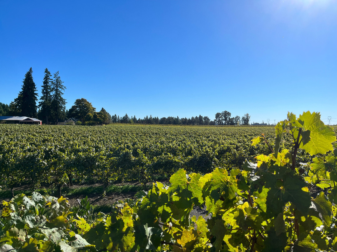 St. Josef's Winery-Canby必去景点