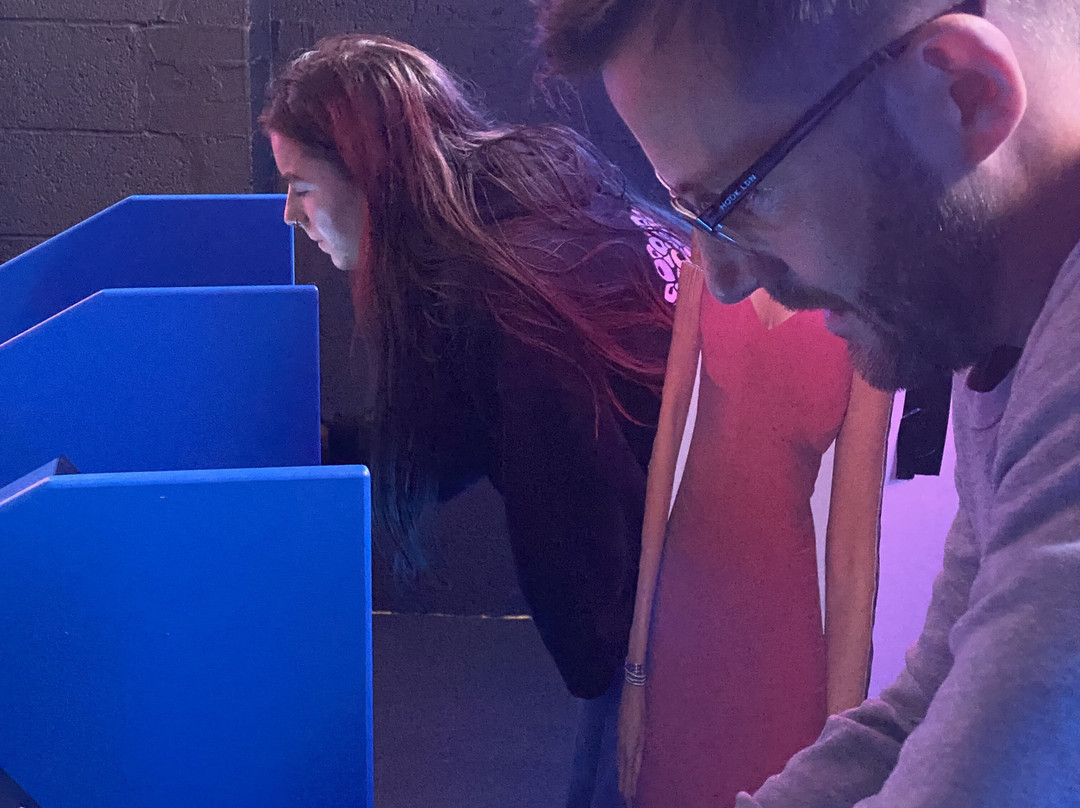 Gameshow All-Stars-谢菲尔德必去景点