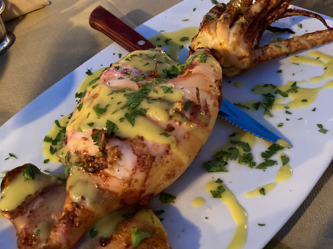 Hotel Porto Delfino主图