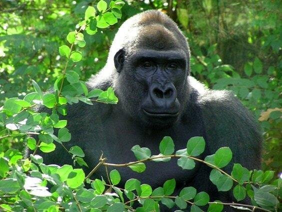 Hotel Topeka at City Center