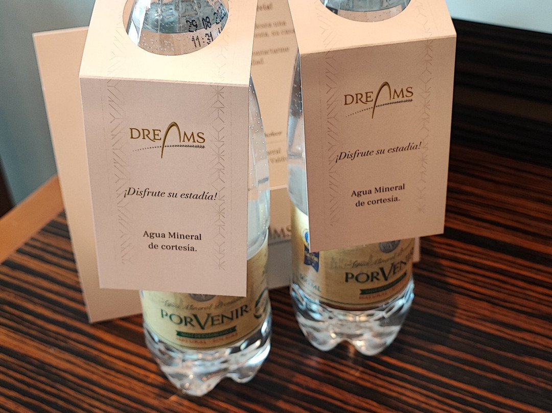 Hotel Dreams Valdivia主图