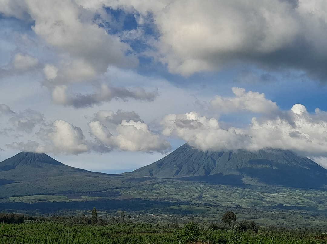 Volcanoes National Park Rwanda景点图片