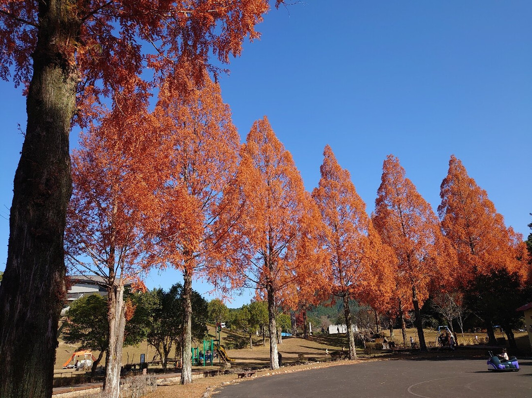Shimanto Ryokurin Park-四万十町必去景点