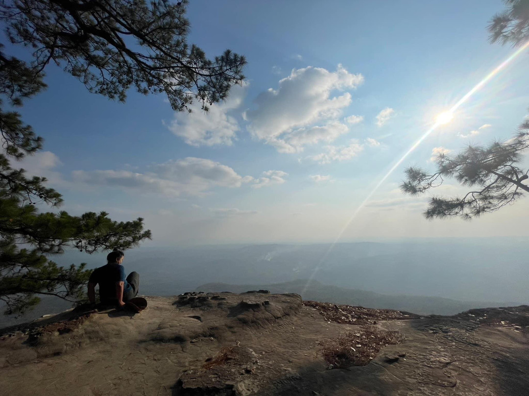 Phu Kradueng National Park景点图片