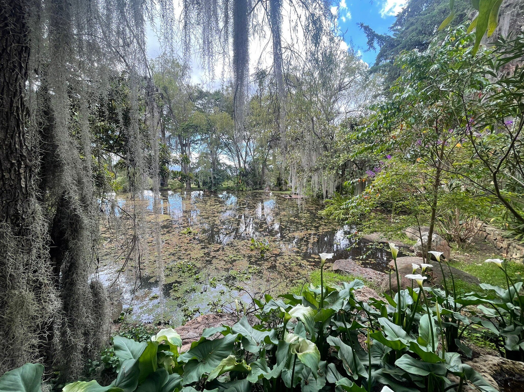 Eco Parque Conscientia Universallis-莱瓦镇必去景点