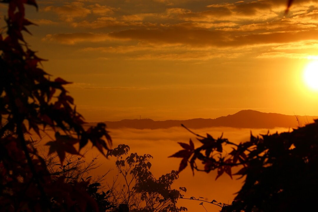 Futatsuyama Castle Ruins-邑南町必去景点