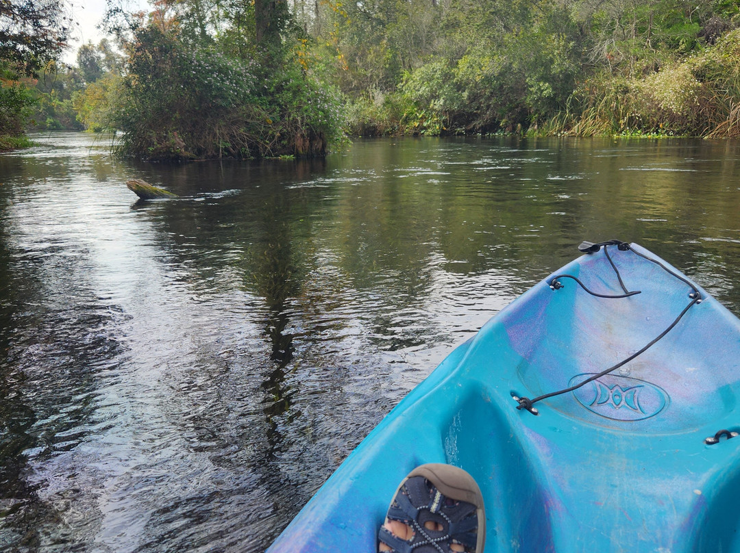 Weeki Wachee Springs-Weeki Wachee必去景点