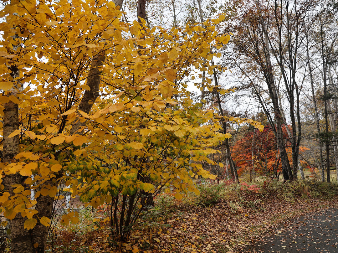 Yatsugatake Natural & Culture Park-原村必去景点