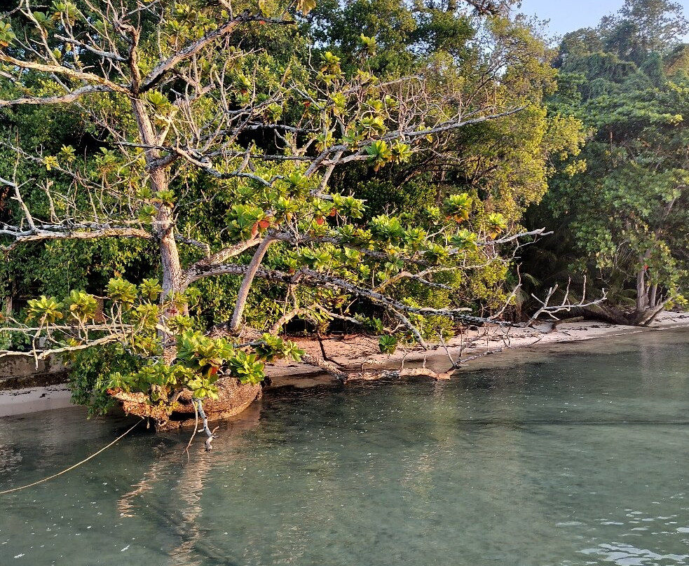 Hamueco Dive Resort Raja Ampat主图