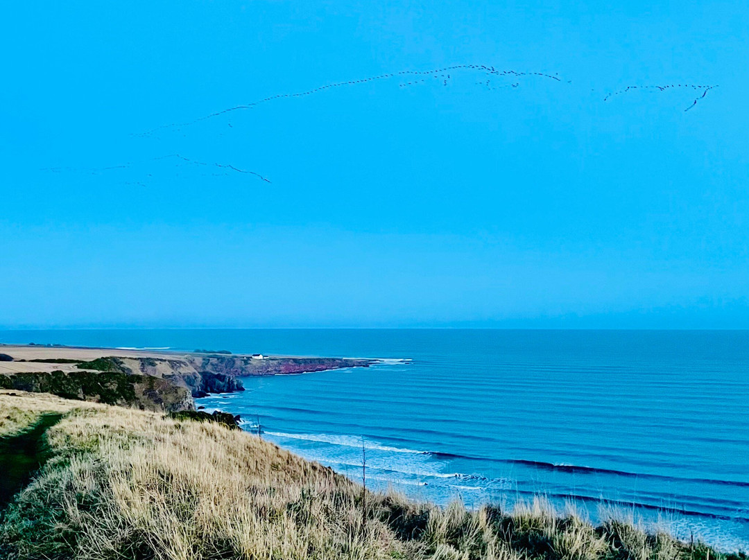 St Cyrus Beach-St Cyrus必去景点