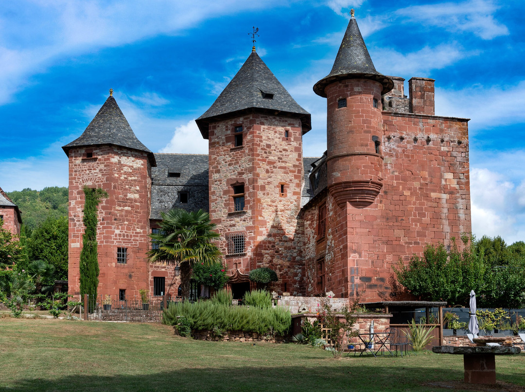 Château de Vassinhac景点图片