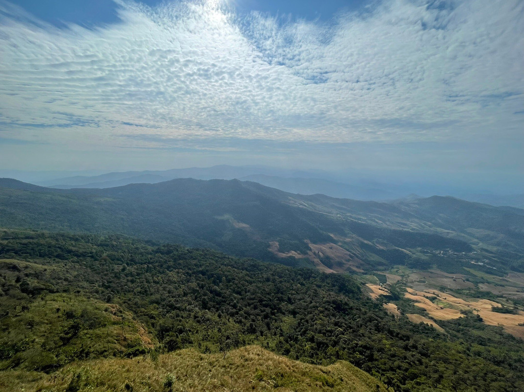 Phu Langka Forest Park景点图片