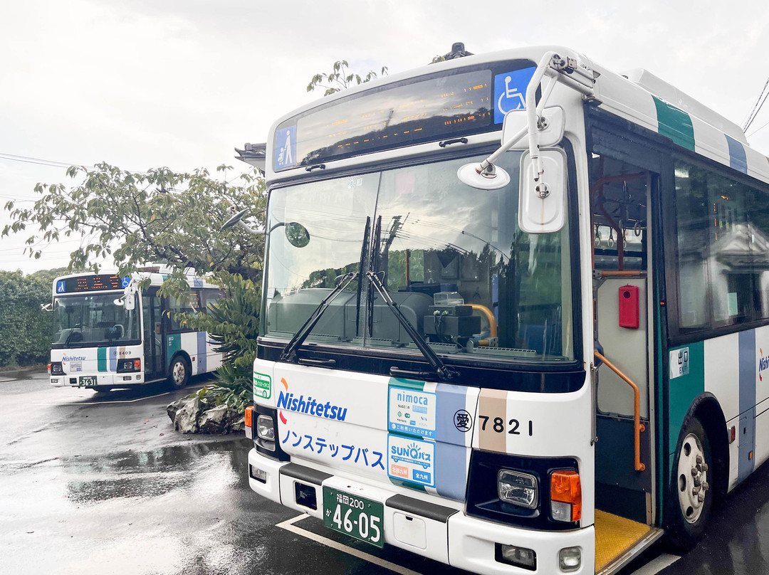 能古岛-福冈市必去景点