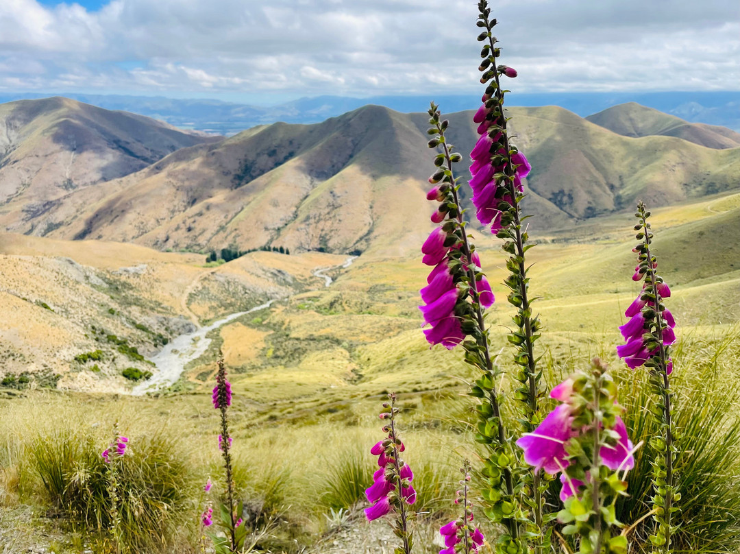 Four Peaks High Country Track景点图片
