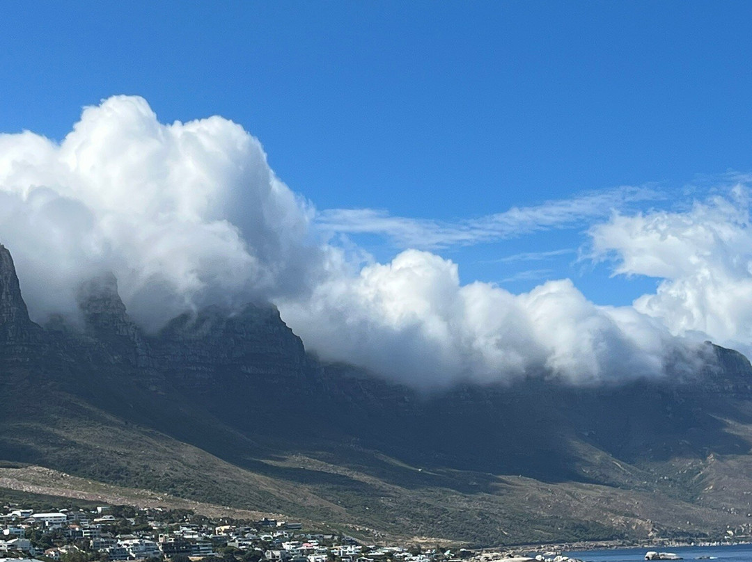 Itchy Feet Tours And Safaris-开普敦中心区必去景点